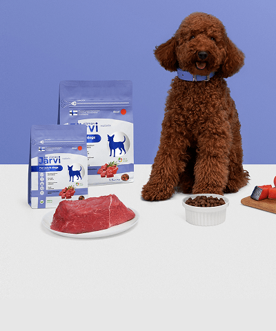 Корма JÄRVI для собак и щенков